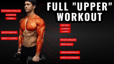 The Best Science-Based Upper Body Workout for Growth (Chest/Back/Arms/Shoulders) - YouTube