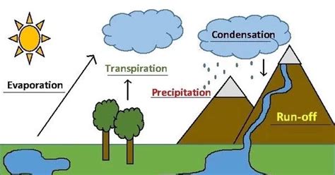 Water Cycle - Assignment Point