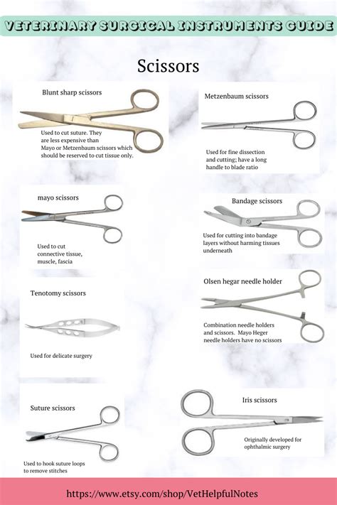 Vet Tech Surgical Instruments Guide, Veterinary Surgical Instruments Cheat Sheet, Vet Tech Study ...