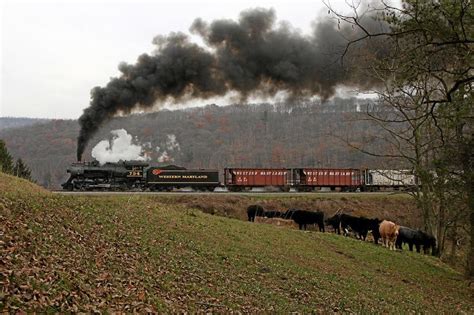 Western Maryland Scenic Railroad | Scenic railroads, Scenic, Railroad photos