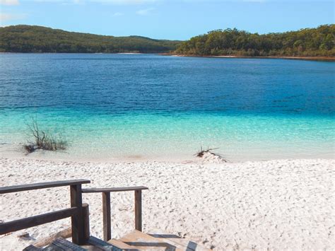 Visiting Lake McKenzie on Fraser Island: Travel Guide - BeeLoved City