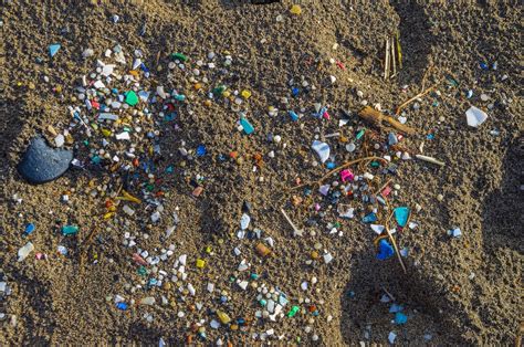 170 trillion bits of microplastics in the world’s oceans - Inside Water