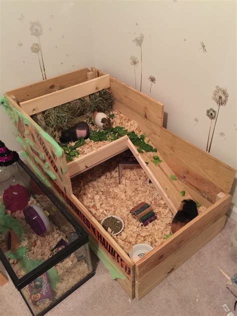 Indoor Guinea Pig Cage. Custom built for the boys!! Cage is 4'x2' with a 2'x2' loft. Home to ...