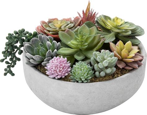 Small Artificial Succulents In Pots at Joel Kempton blog