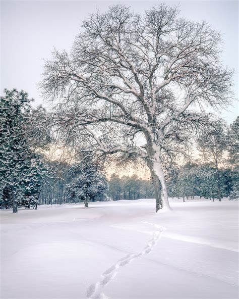 The Issue with Winter Landscape Photography — Mark Denney | Landscape Photography