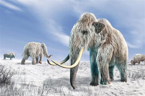 Controversial Theory on Extinction of Ice-Age Animals Supported by New Evidence