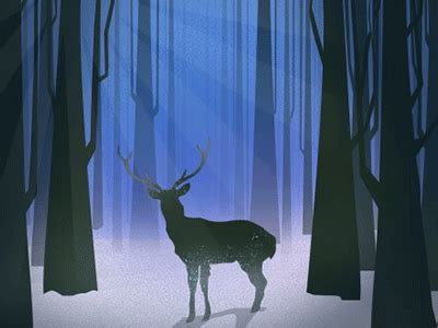 Woods by M-backy on Dribbble