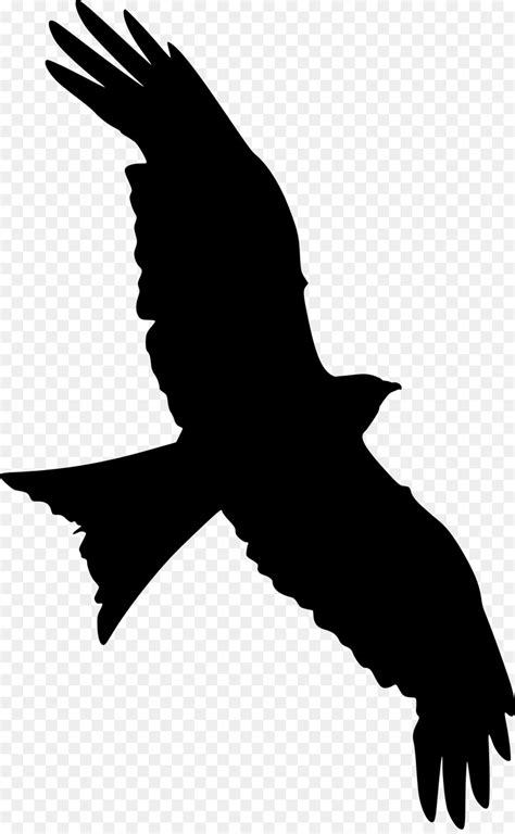 Free Flying Hawk Silhouette, Download Free Flying Hawk Silhouette png images, Free ClipArts on ...