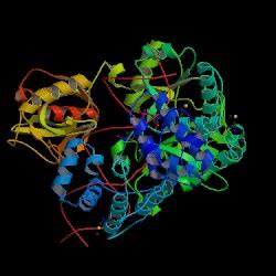 ALL ABOUT DNA: DNA LIGASE