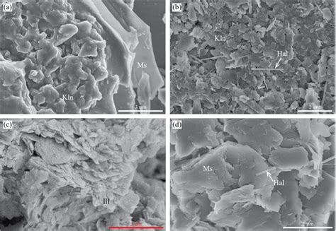 SEM images of other clay minerals in the saprolite and lower pedolith.... | Download Scientific ...