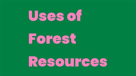 Uses of Forest Resources - Write A Topic