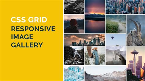 Responsive Image Gallery with CSS Grid | CSS image grid gallery | HTML CSS image grid gallery ...