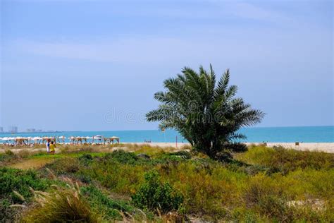 Saadiyat Public Beach, Saadiyat Island, Abu Dhabi, UAE Stock Photo - Image of relax, nature ...