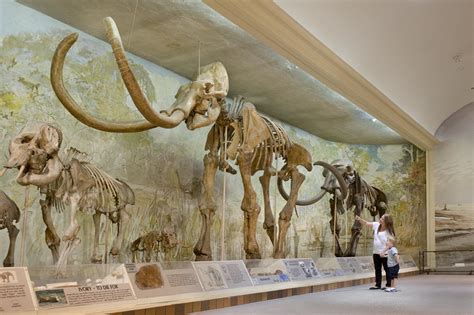 University of Nebraska State Museum of Natural History and Mueller Planetarium (Lincoln ...