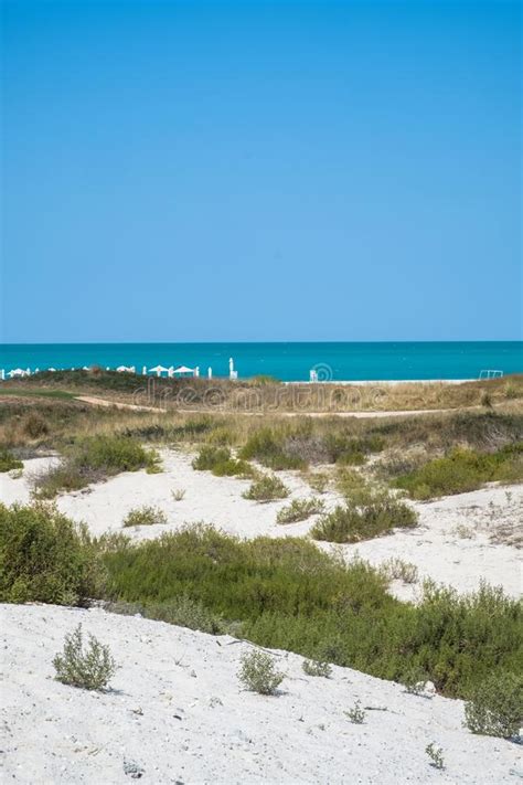 Saadiyat Public Beach, Saadiyat Island, Abu Dhabi, UAE Stock Photo - Image of relax, nature ...