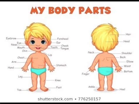 Human Body Parts Name In Tamil And English - Body Parts Tamil Name : Human Body Parts Name In ...