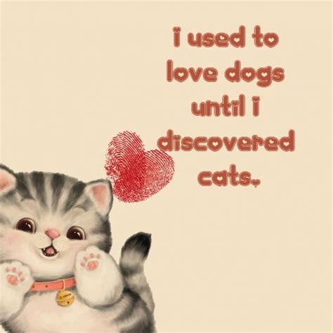 Cat Lover Quotes. QuotesGram