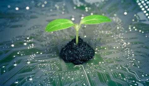 Types of Green Technology for the Future - Florida Independent