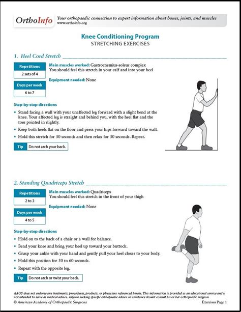 Exercises To Strengthen The Knee Joint And Quadriceps – Online degrees