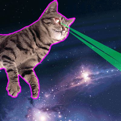 Cats In Space Laser