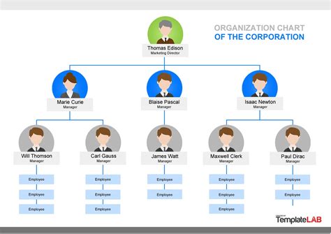 41 Organizational Chart Templates (Word, Excel, PowerPoint, PSD)