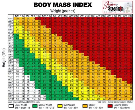 BMI Body Mass Index Template Calculator