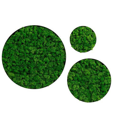 Miscool Anky Metal Green Wall Architectural Decor, Round Framed Moss Wall Decor MAMWDHD102484 ...