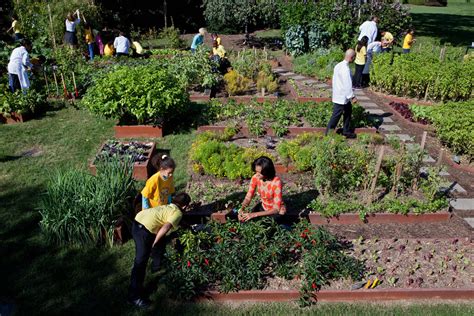 Michelle Obama's White House Vegetable Garden Will Likely Be Permanent • Insteading