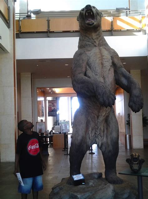 The Giant Short-Faced Bear of the Ice Age - History In Memes