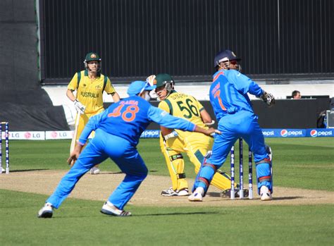 India is in the lead: An overview of the 2023 ICC World Cup - The Ticker