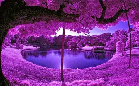 Purple Desktop Wallpapers - Top Free Purple Desktop Backgrounds - WallpaperAccess