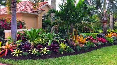 Tropical Garden with Palm Trees and Flowers