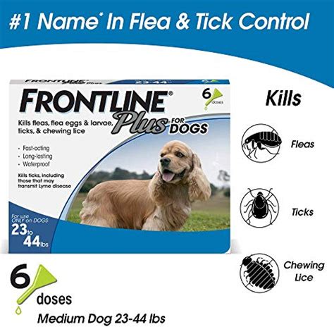 Best Dog Flea Treatment Reviews - Top 16 For 2023 - Animal Corner