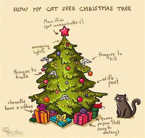 cats and christmas trees memes - Takisha Downs