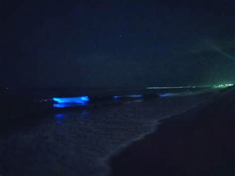 Chennai Blue glow beaches - Love to Know India