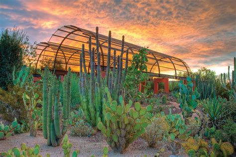 Botanical Garden In Phoenix Arizona | Fasci Garden