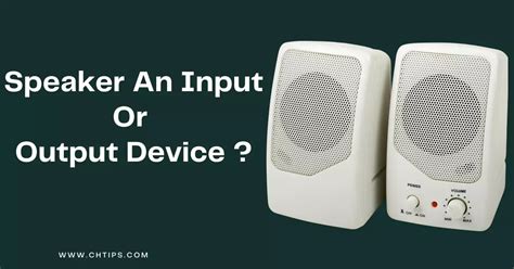 Is A Speaker An Input Or Output Devices In Computer System