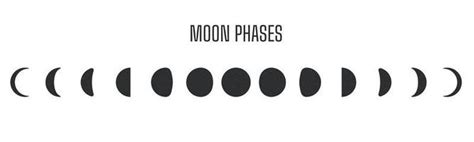 Moon Phase Vector Art, Icons, and Graphics for Free Download