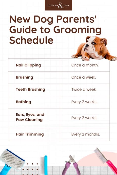 Dog Grooming Price List Template