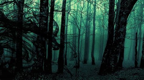 Aggregate 59+ dark green forest wallpaper super hot - in.cdgdbentre