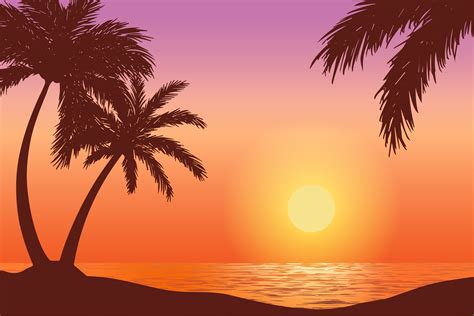 Vector Sunset on Tropical Beach Graphic by sabavector · Creative Fabrica