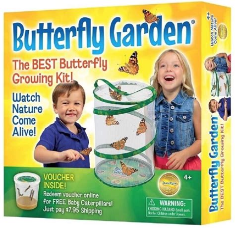 Butterfly Garden Kit (Watch Caterpillars Turn Into Pretty Butterflies!)