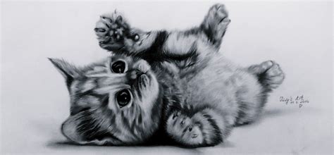 Cute Kitten Sketch at PaintingValley.com | Explore collection of Cute Kitten Sketch