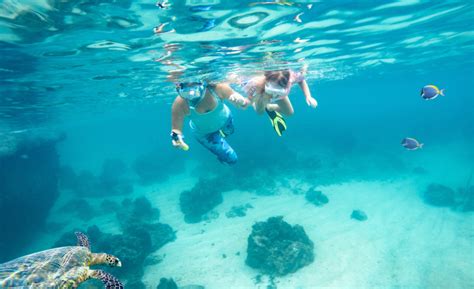 5 Helpful Tips for Snorkeling in Panama City Beach - RealJoy