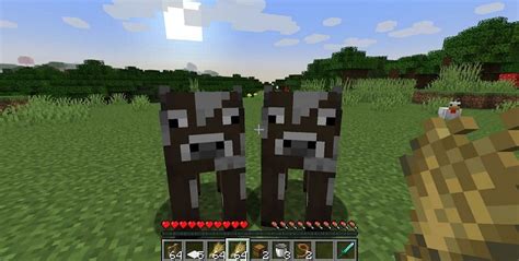 How To Make A Cow Farm In Minecraft