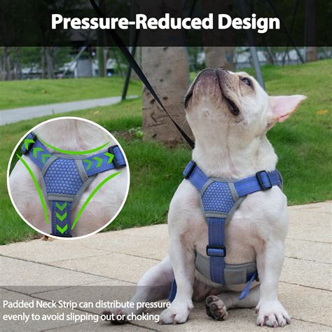 Escape Proof Dog Harness Purple