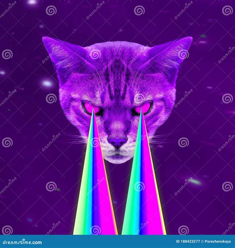 Space Cat with Lasers from Eyes. Minimal Collage Fashion Concept Stock Image - Image of trend ...