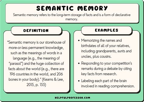 15 Semantic Memory Examples (2024)