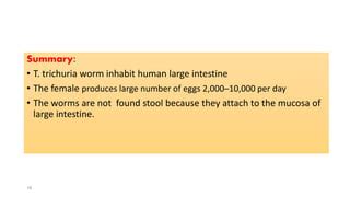 Trichuris trichiura | PPT