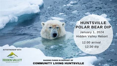 Huntsville Polar Bear Dip returns January 1, 2024, at noon - Huntsville Doppler